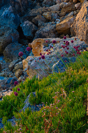 Mediterranean sea shore near village Chlorakas in Cyprusの写真素材