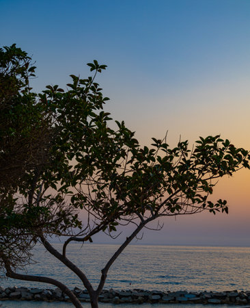 Dramatic sunset over Mediterranean sea in Cyprusの写真素材