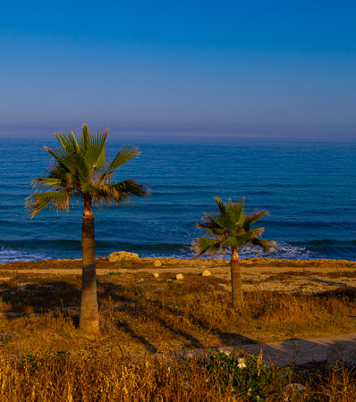 Summer morning at promenade in village Chloraka in Cyprusの写真素材
