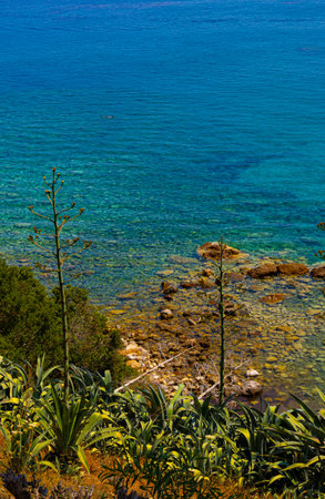The Aphrodite's beach in Akamas peninsula in Cyprusの写真素材