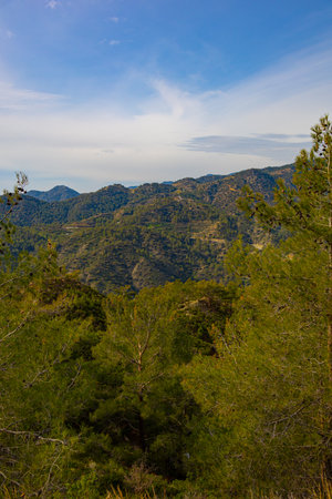 Mountains and forestの写真素材