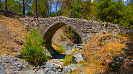 Old stone Elias bridge among forest in Cyprus mountainsの写真素材