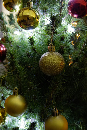 Close-up view on fir tree branch with Xmas balls and New year garlandの写真素材