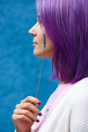Portrait of a woman with colourfull purple hair, pierced nose in white cardigan turn her left profile with lavender stem in her right hand in front of blue background.の写真素材