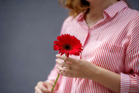 A portrait of redheaded woman in red and white striped shirt with red hibiscus flower in her hands against gray backgroundの写真素材