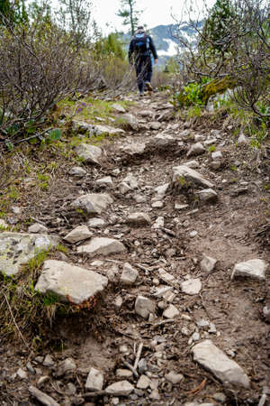 A man with backpack is going up on the stony mountain path between highland plants with mountain on the backgroung