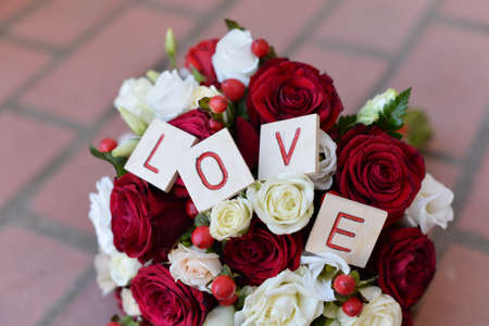 wedding brideの写真素材