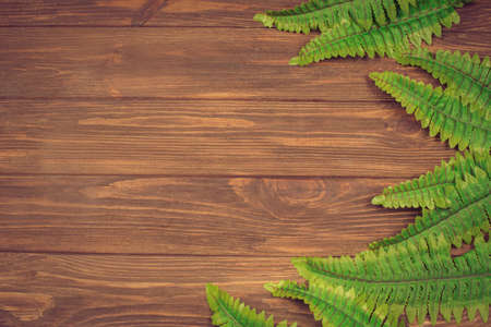 summer beautiful background for text with leaves of large green palm trees on a wooden background brown background for advertising and bigboardの写真素材