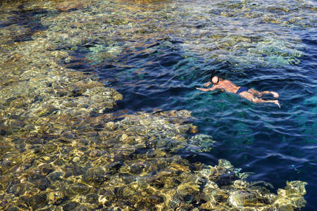 man diving snorkeling swimming in the ocean sea and looking at the beautiful reef with fish and...