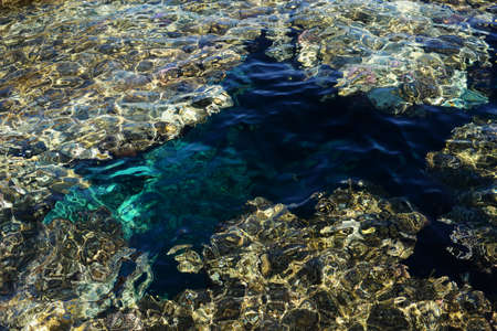 beautiful top view of the sea with corals