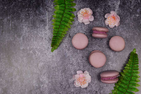 french macaron cookies dessert pink lilac on a dark background with pink flowers and green leafの写真素材