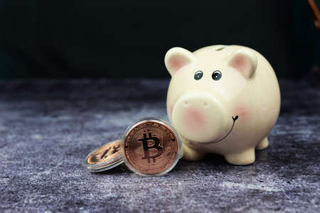 Bitcoin cryptocurrency money coins with a piggy bank on a dark background for investment and earningsの写真素材