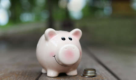 Pink money box for coins for economy and budget on a wooden background and nature with coinsの写真素材