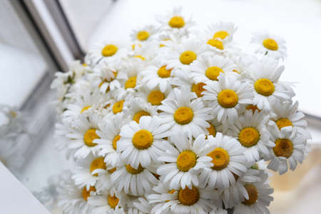 beautiful background with daisy flowers in spring and summer on a board on the window with the sun