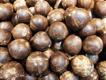 coconut fruit closeup shot