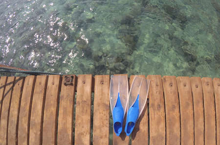 blue flippers for swimming on the shore near the sea on vacation while travelingの写真素材