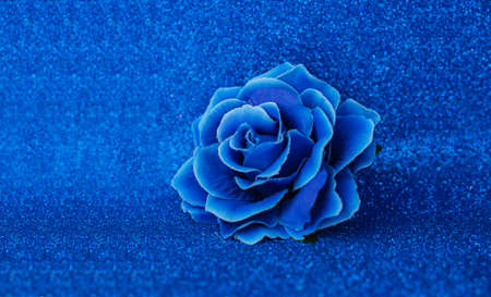blue roses flowers and bokeh for Valentine's Day holiday.の写真素材