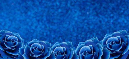 banner texture background with blue roses flowers and bokeh for Valentine's Day holiday.の写真素材