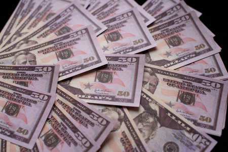 a lot of money 50 dollars paper notes