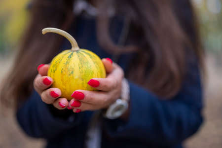 A young woman holds a pumpkin in her hands. Selective focus.の写真素材