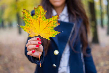 A young woman in a blue jacket holds a yellow maple leaf in her hand.の写真素材