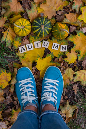 Autumn leaves, pumpkins and blue sneakers on the ground in the parkの写真素材