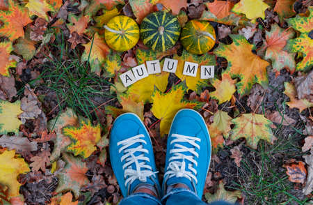 Autumn composition with pumpkins, leaves and sneakers. Autumn background.の写真素材