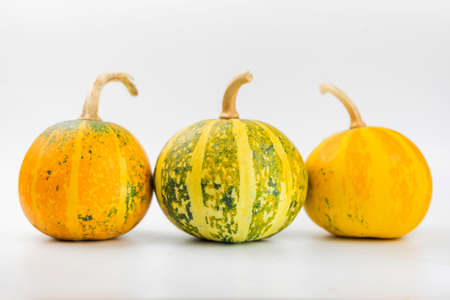 decorative pumpkin vegetable on isolated white backgroundの写真素材
