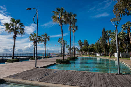 promenade Limassol beautiful with palm trees in cyprus with swimming pools in the parkon the...