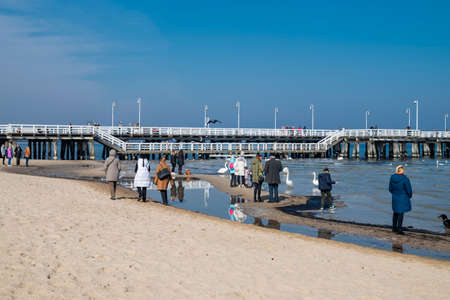 August 30, 2020, Gdask, Poland, view of the Sopot embankment on the Baltic Sea. People feed the seagull birdsのeditorial素材