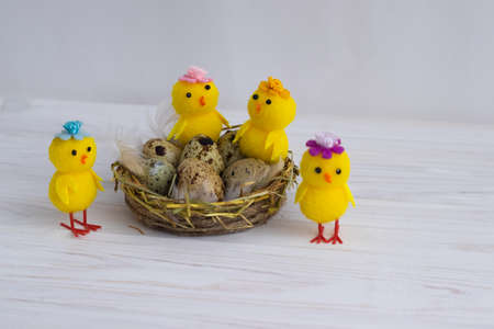 Happy Easter quail eggs in the nest with chickens on a white background