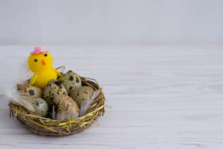 Happy Easter eggs in the nest with chickens on a white background with a place to text.の写真素材
