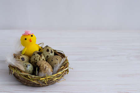 Happy Easter eggs in the nest with chickens on a white background with a place to text.の写真素材
