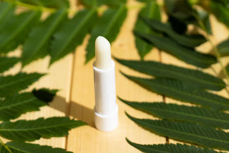 hygienic lipstick on a wooden background with green leaves around in a white case.の写真素材