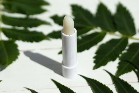 moisturizing lipstick on a white background with green leavesの写真素材