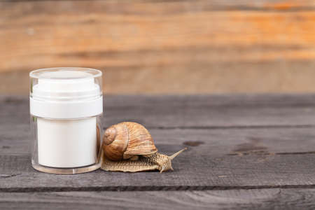 cosmetic product with snail mucin, copy space.の写真素材