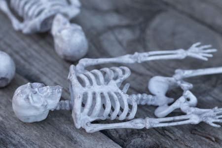 skeletons lie on a wooden background concept halloween