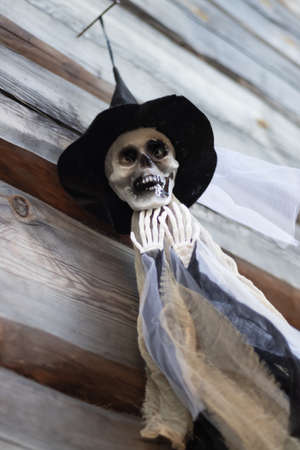 skeleton lie on a wooden background concept halloween.