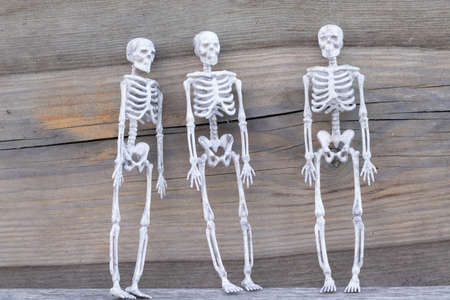 skeletons 3 pieces on a wooden background halloween holiday concept.の写真素材