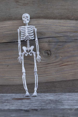 skeleton on a wooden background Halloween holiday concept