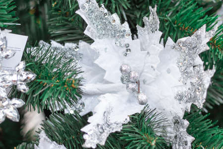 decoration on the Christmas tree, flowers.balls, concept Christmas and new year.Christmas card, background, calendarの写真素材