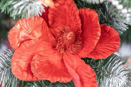 decoration on the Christmas tree, flowers.balls, concept Christmas and new year.Christmas card, background, calendarの写真素材