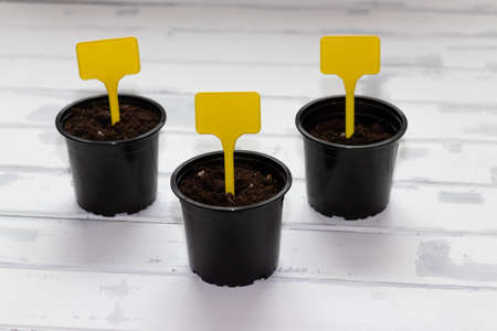 three planters with a sign for text, gardening, copy space