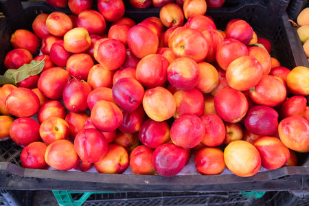 Juicy red nectarines at a farmer's market in a southern country.の写真素材