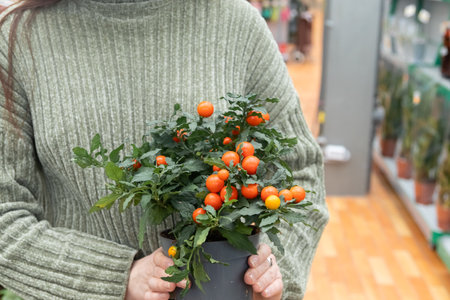 A happy smiling girl holds a potted plant for home decoration. The concept of landscape design, landscaping, ecology in the houseの写真素材