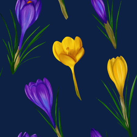 Beautiful violet and yellow crocuses flowers on a black background, seamless pattern. Watercolor digital illustration. For fabric, textiles,wrappers, covers, printsの写真素材