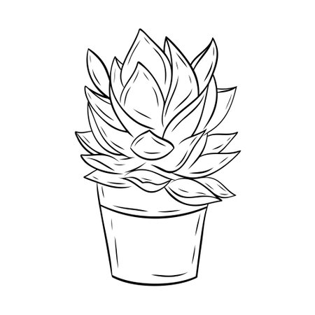 Wonderful succulent in a pot. Vector graphic illustration, object from a large set of succulentsのイラスト素材