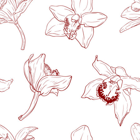 Vanilla flower, orchid phalaenopsis with large petals. Monochrome botanical  pattern. Graphic line art hand drawn ink vector. Good for decoration of cooking, menu, decor, stickersのイラスト素材