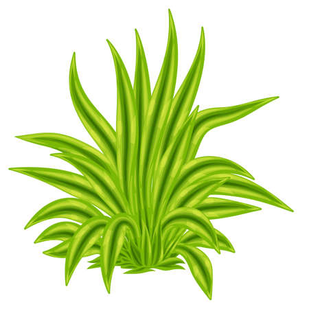 Green leaves. Vector illustration Ecology, natural trend.のイラスト素材