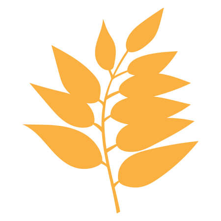 Orange autumn leaves vector illustration. Autumn leaves, graphic icon or print isolated on white background.のイラスト素材